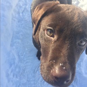 Meet your Posher, Carlie